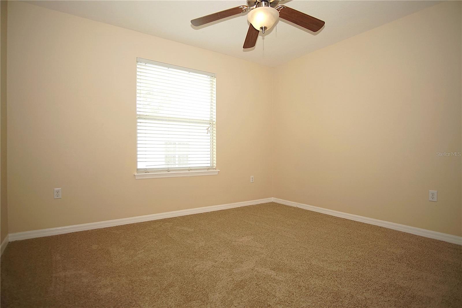 11406 MARBELLA TERRACE ST, TAMPA, FL, 33637