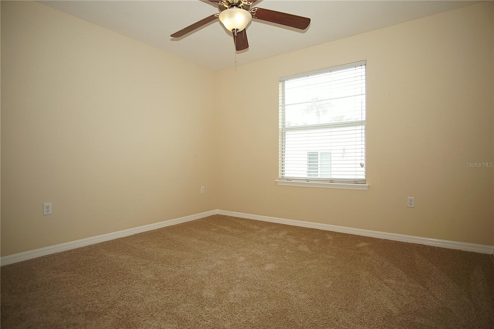 11406 MARBELLA TERRACE ST, TAMPA, FL, 33637