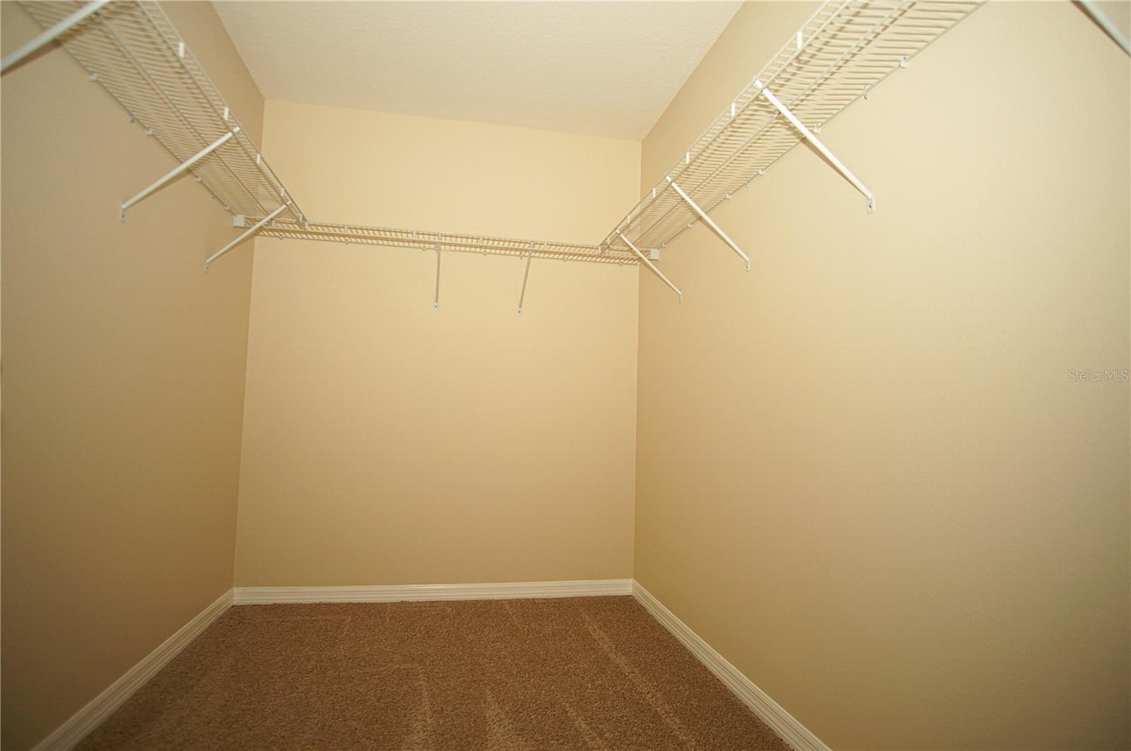 11406 MARBELLA TERRACE ST, TAMPA, FL, 33637