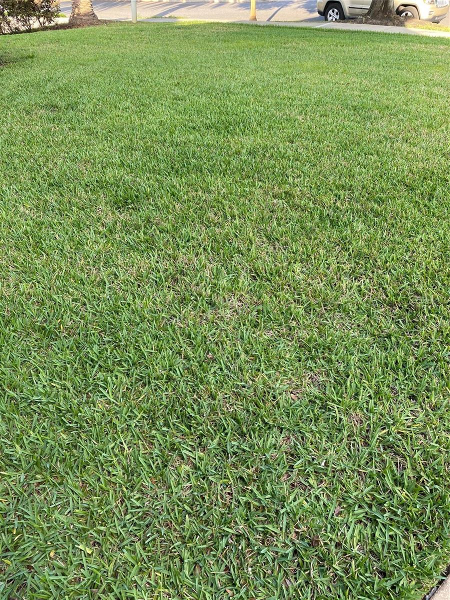 2204 KETTLE DR, ORLANDO, FL, 32835