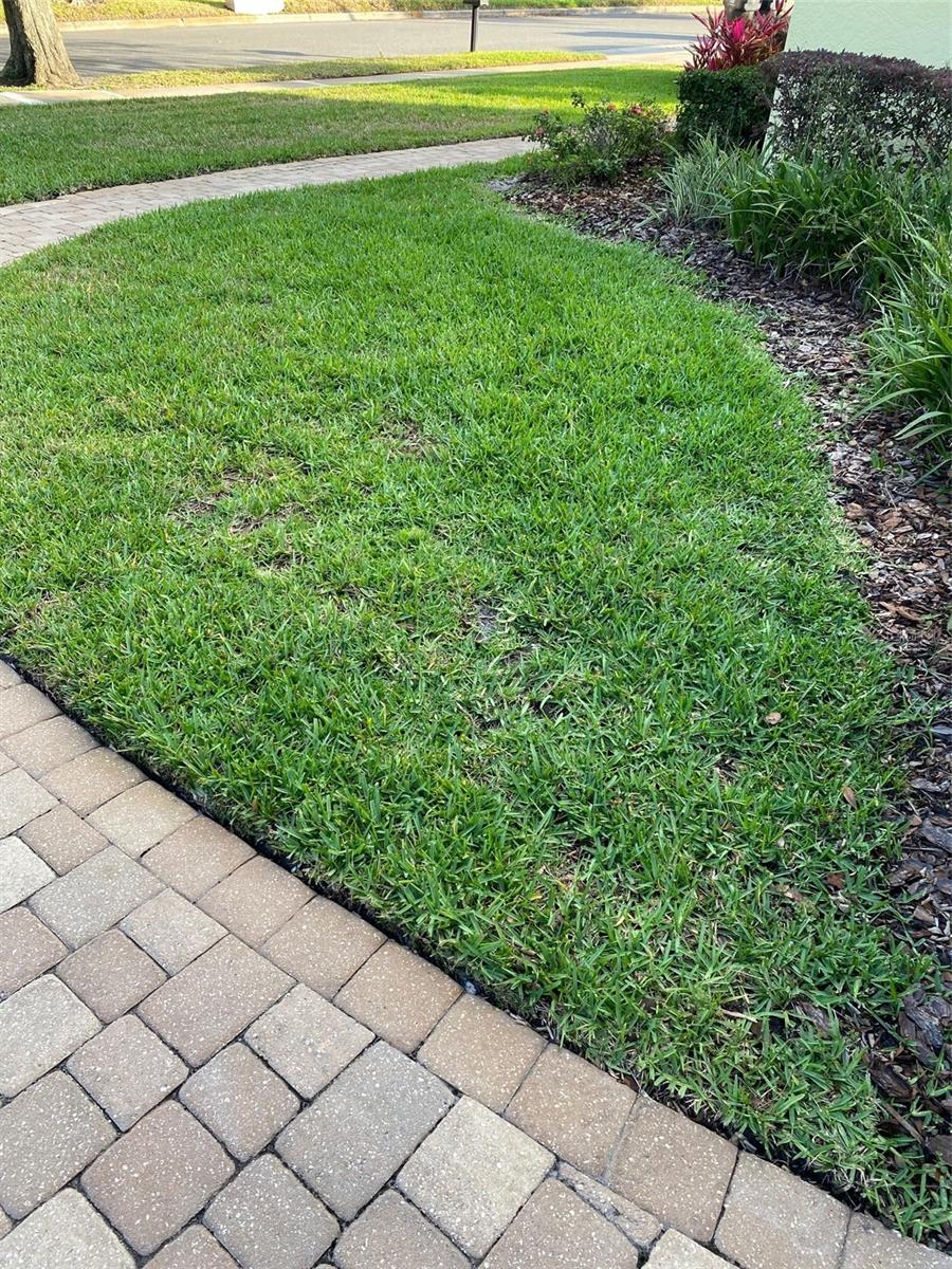 2204 KETTLE DR, ORLANDO, FL, 32835