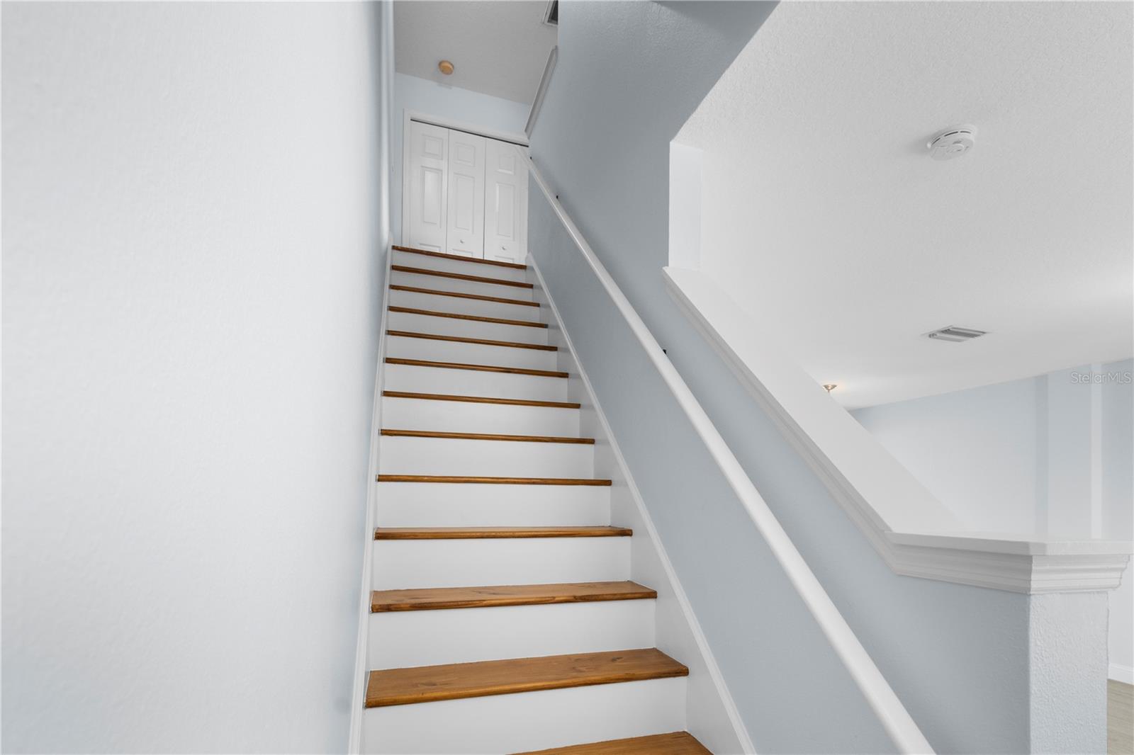 12294 COUNTRY WHITE CIR, TAMPA, FL, 33635