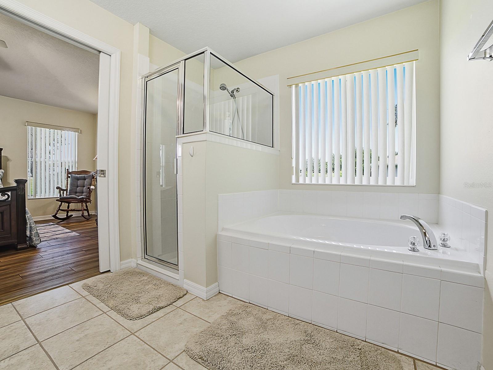 1431 LAKE VILLA DR, TAVARES, FL, 32778