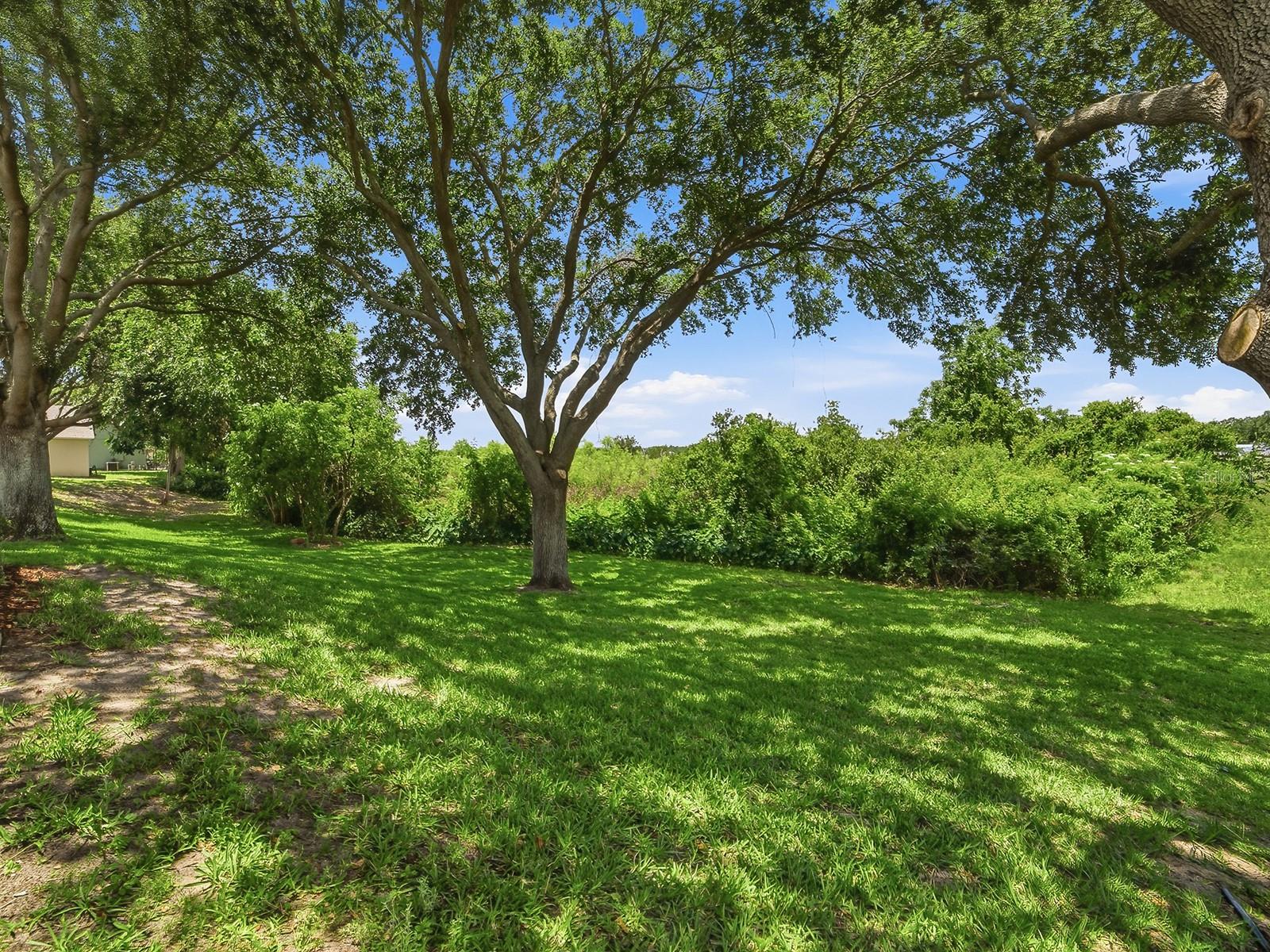 1431 LAKE VILLA DR, TAVARES, FL, 32778