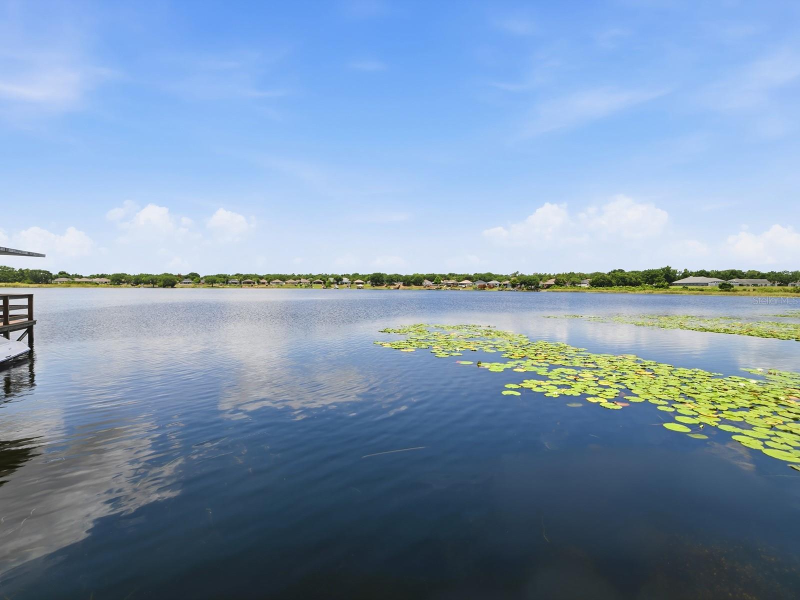 1431 LAKE VILLA DR, TAVARES, FL, 32778
