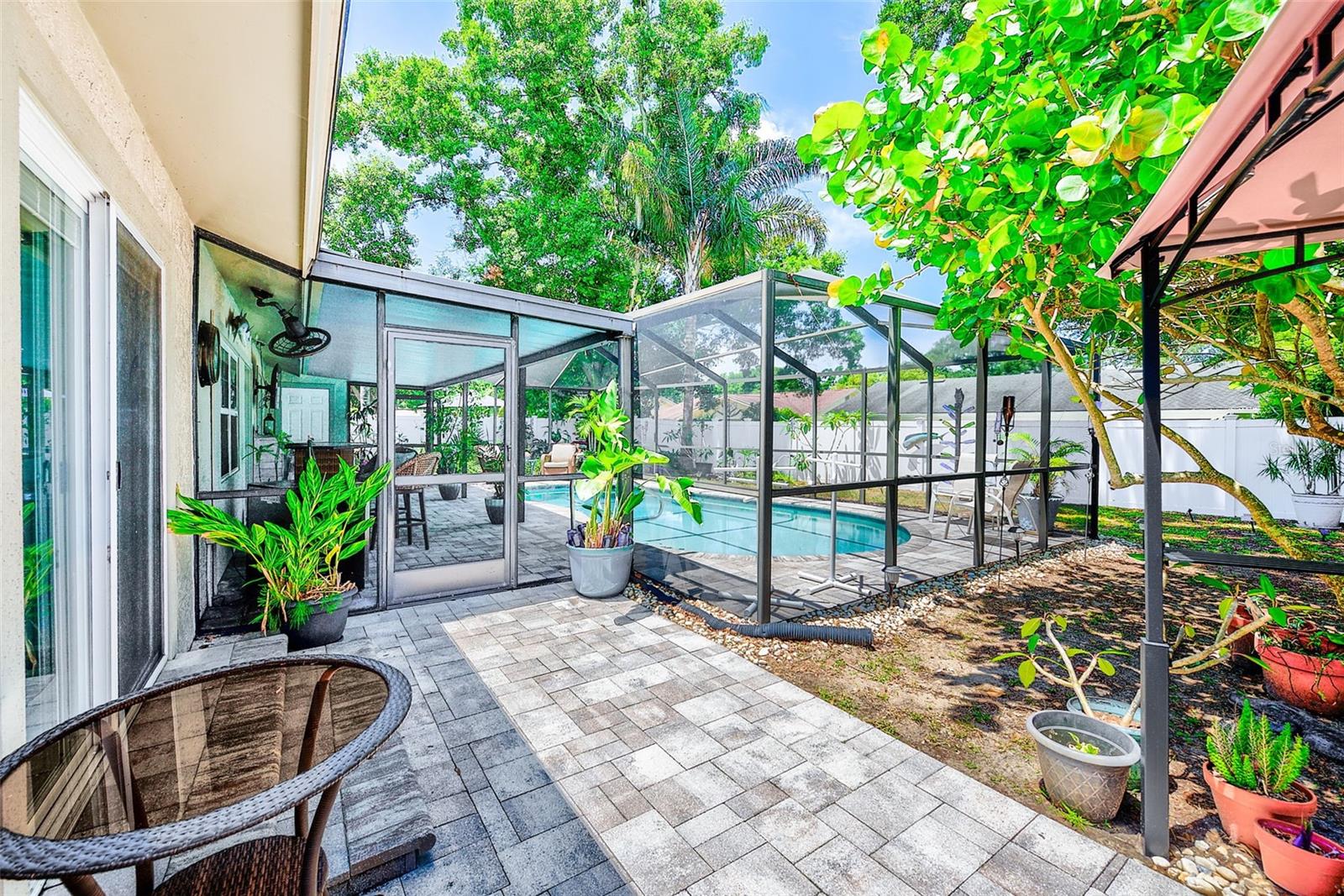 486 BELMIST CT, DUNEDIN, FL, 34698