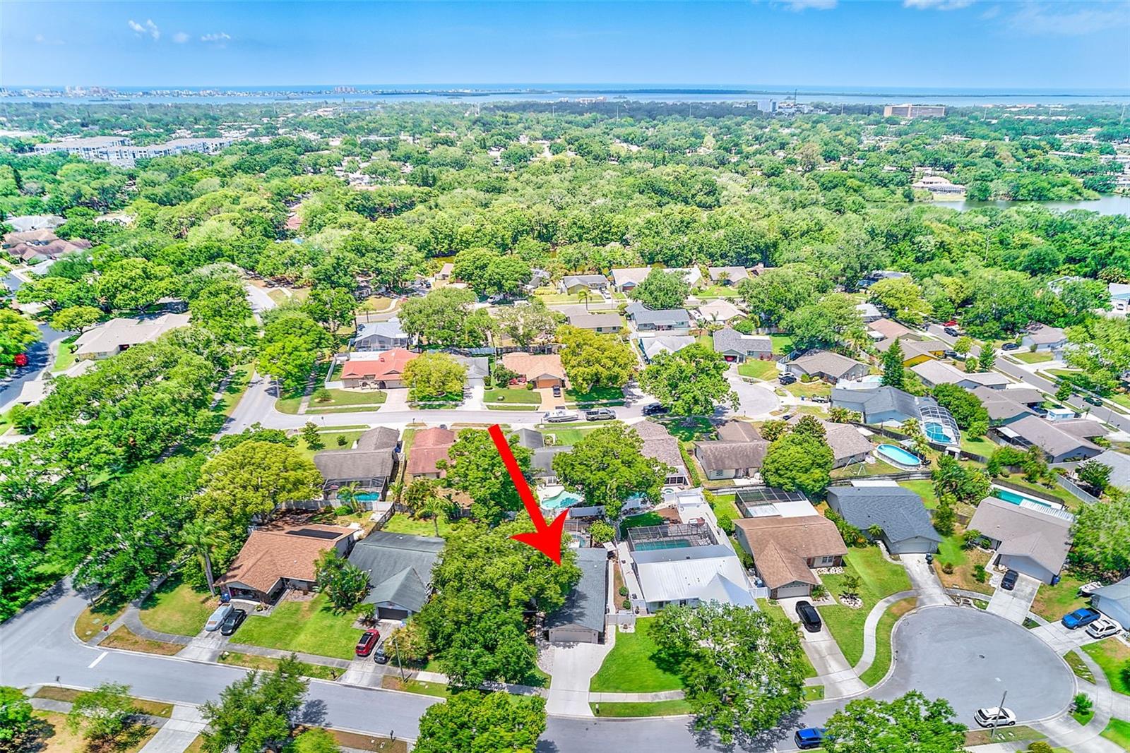 486 BELMIST CT, DUNEDIN, FL, 34698