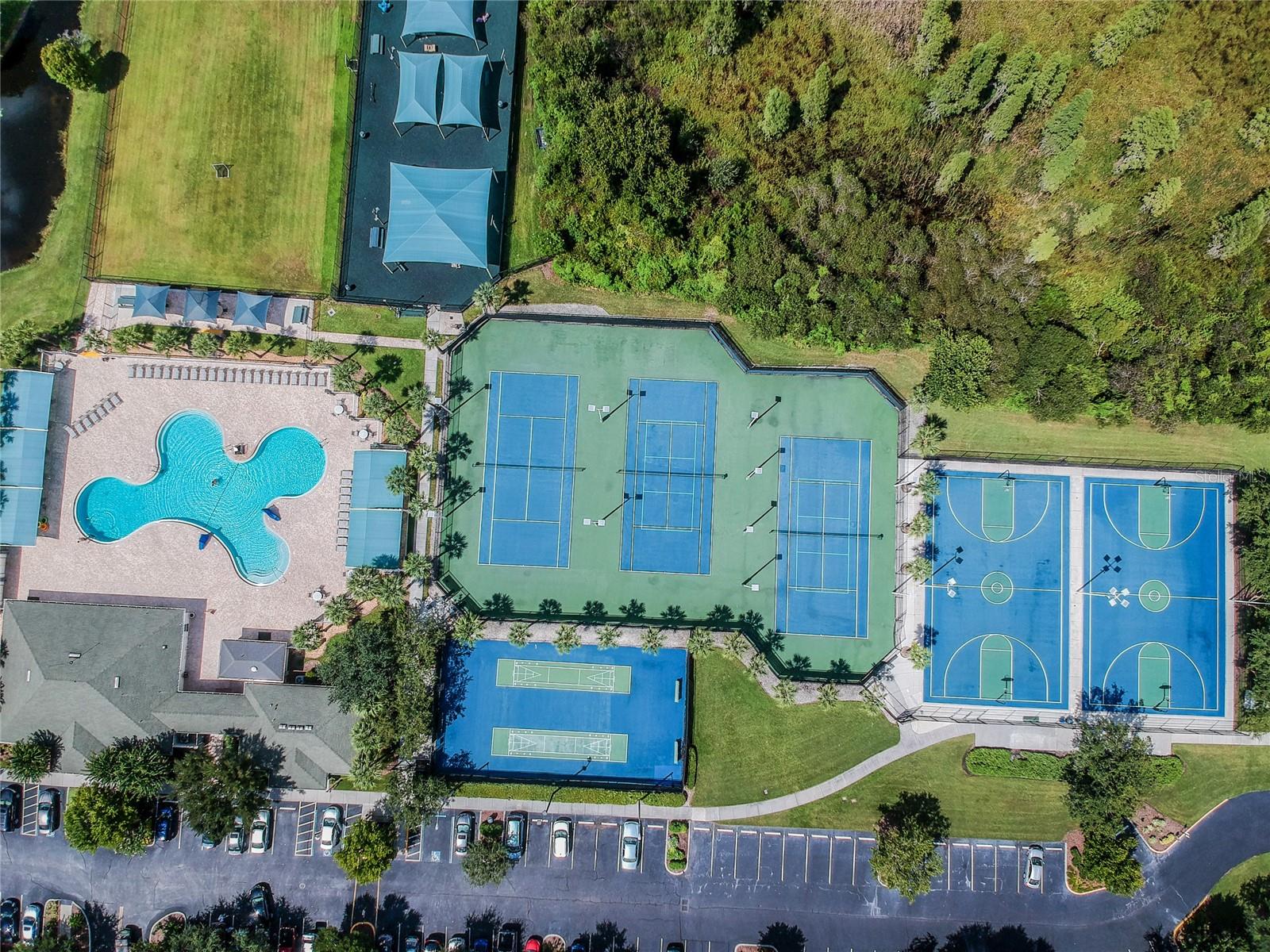 30600 NICKERSON LOOP, WESLEY CHAPEL, FL, 33543