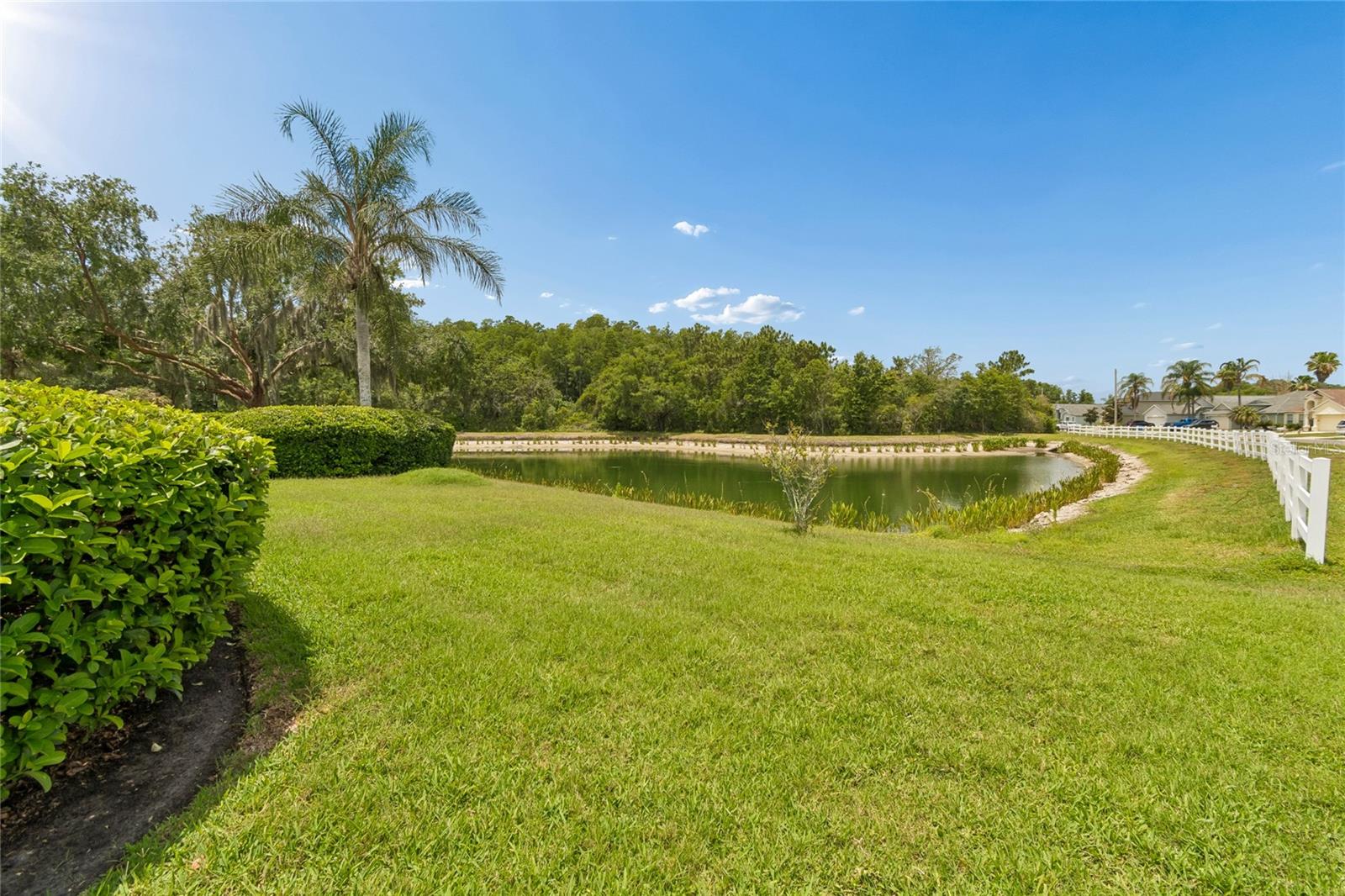 30600 NICKERSON LOOP, WESLEY CHAPEL, FL, 33543