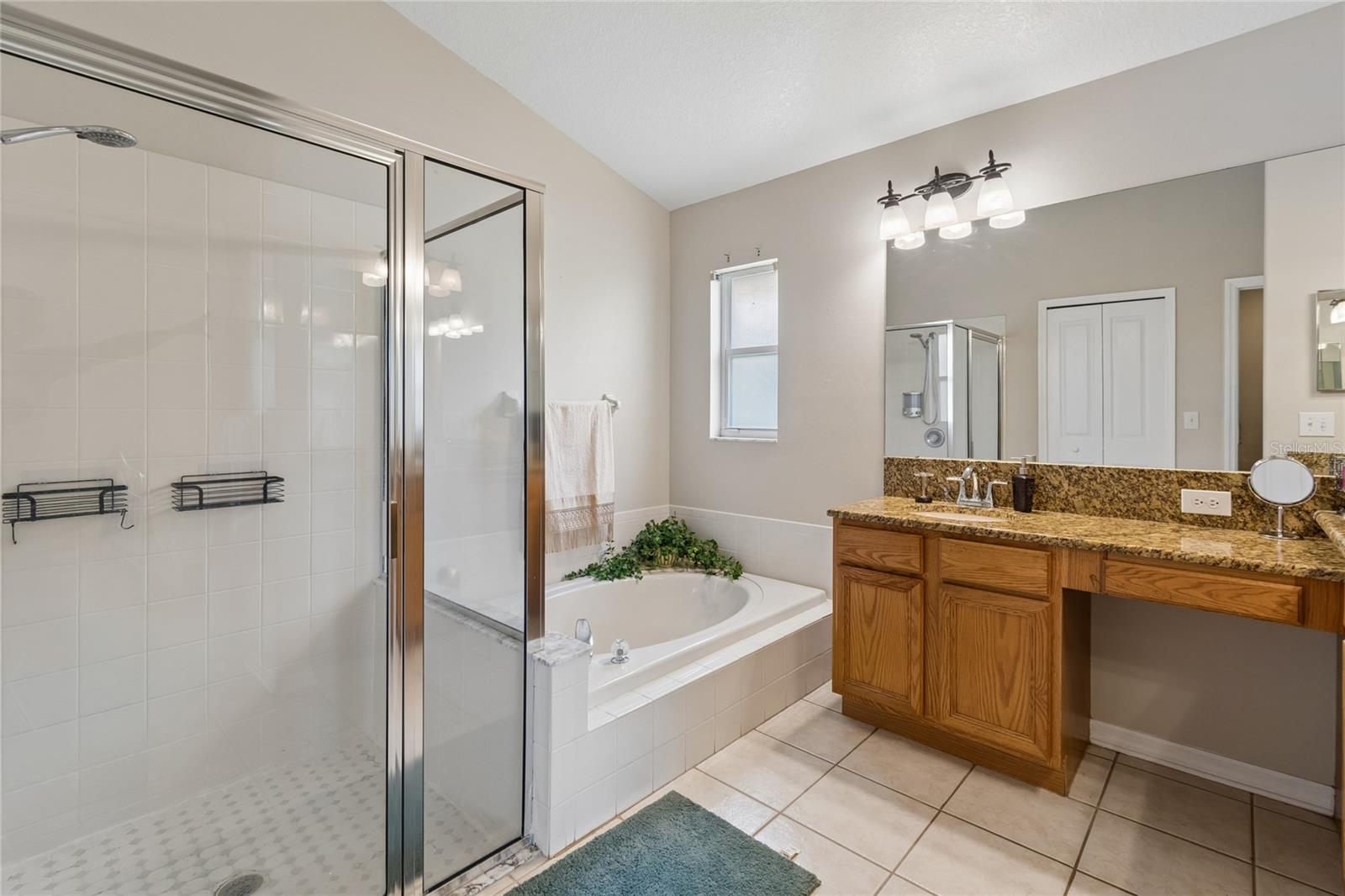 30600 NICKERSON LOOP, WESLEY CHAPEL, FL, 33543