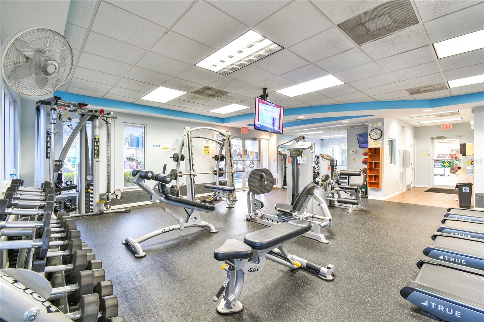 30600 NICKERSON LOOP, WESLEY CHAPEL, FL, 33543