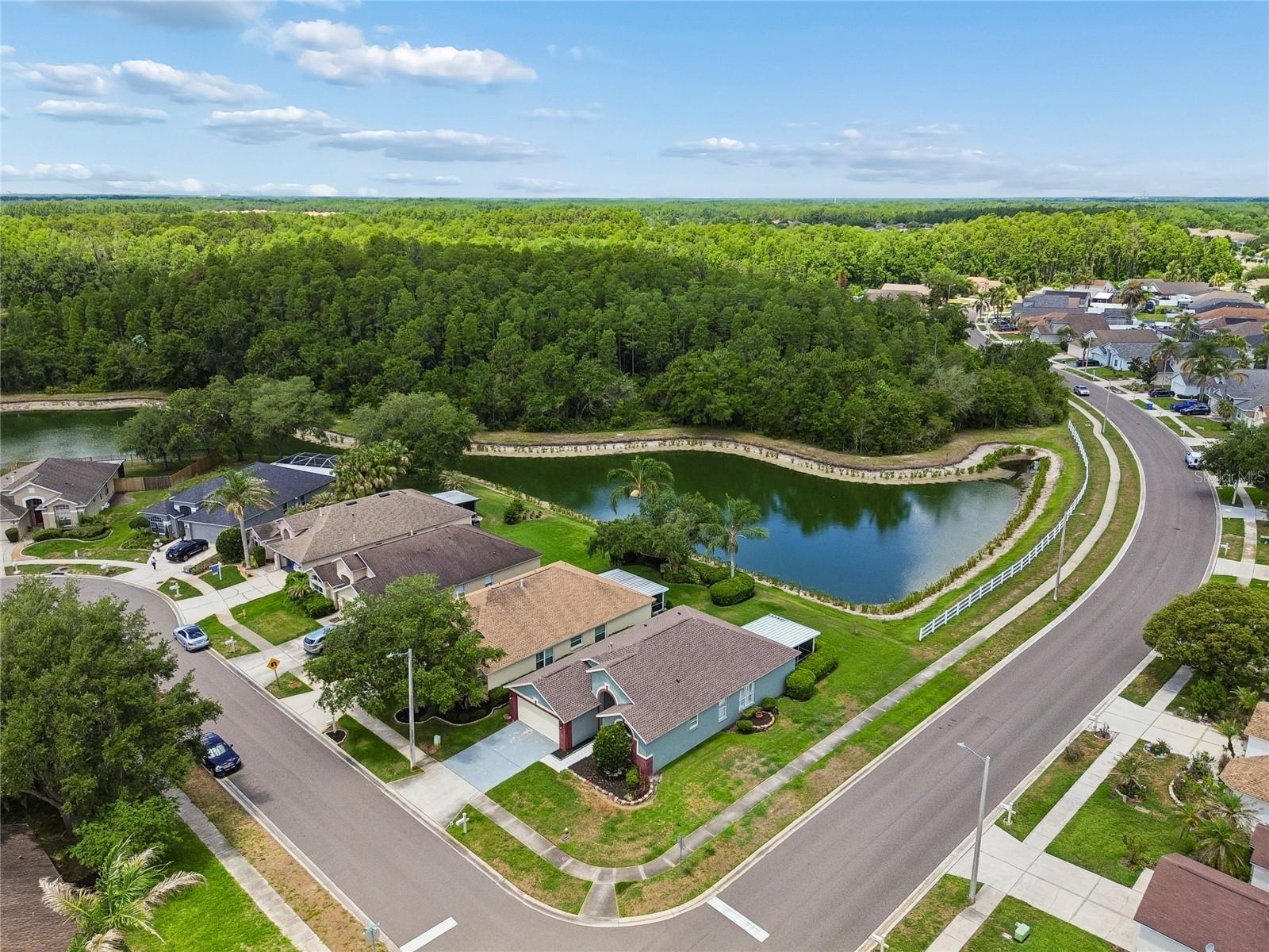 30600 NICKERSON LOOP, WESLEY CHAPEL, FL, 33543