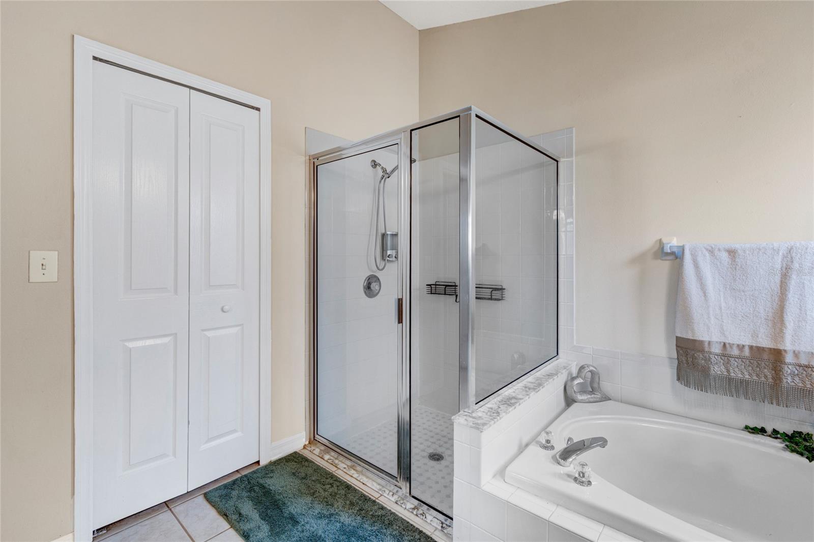 30600 NICKERSON LOOP, WESLEY CHAPEL, FL, 33543