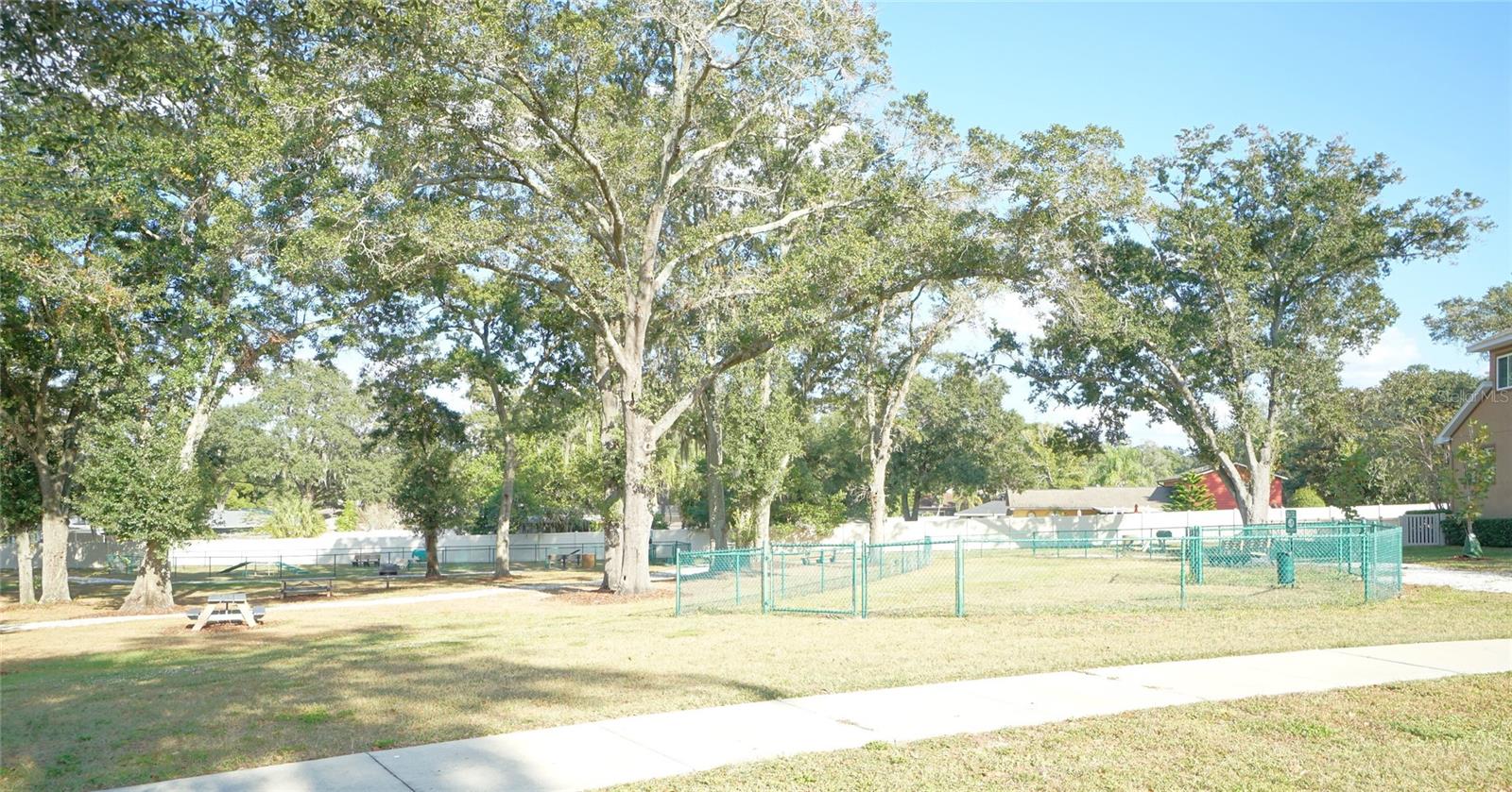 1325 CADENCE CT, BRANDON, FL, 33511