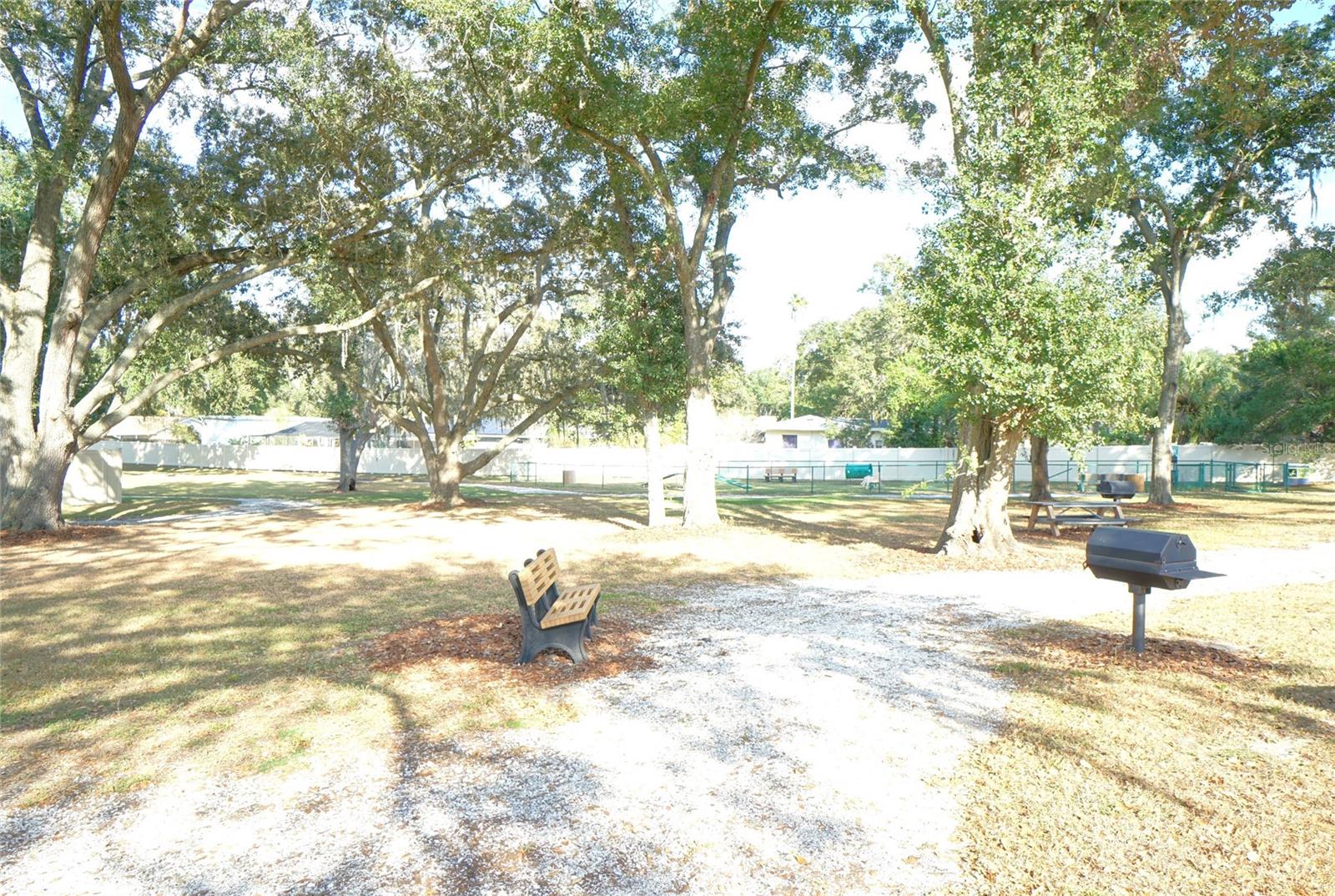 1325 CADENCE CT, BRANDON, FL, 33511