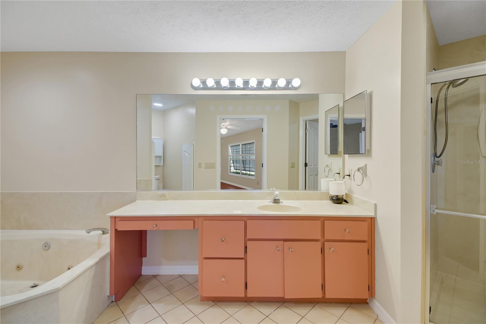 317 WOODLAND TRL, LADY LAKE, FL, 32159