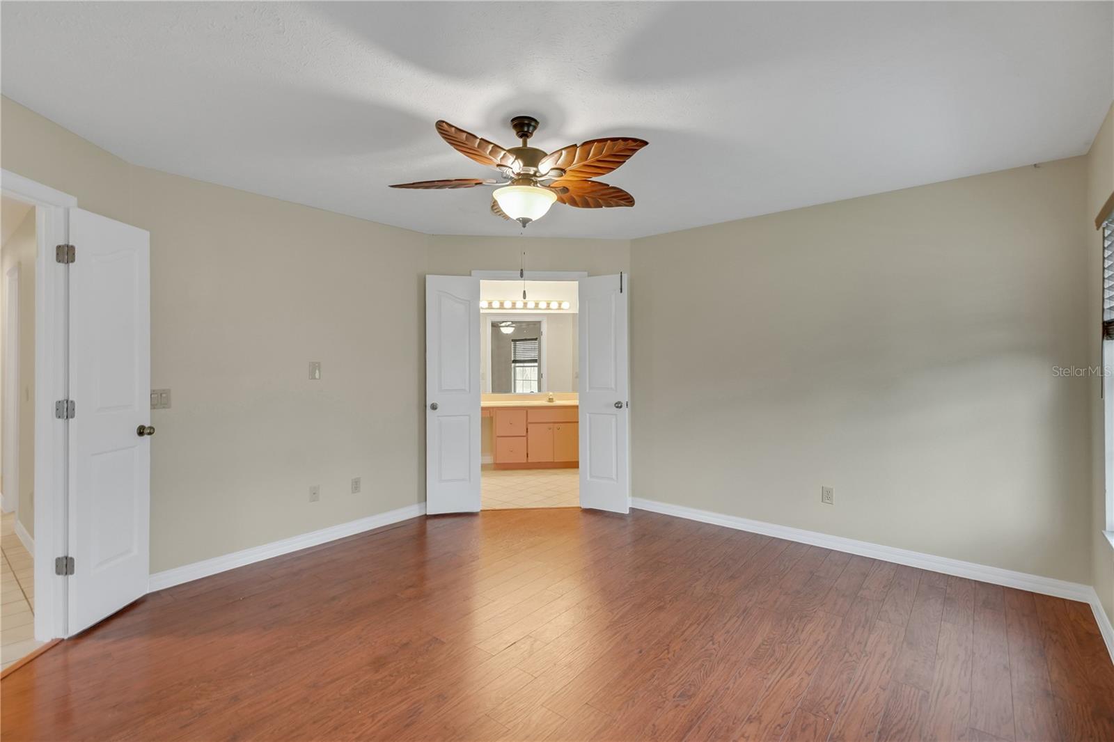 317 WOODLAND TRL, LADY LAKE, FL, 32159