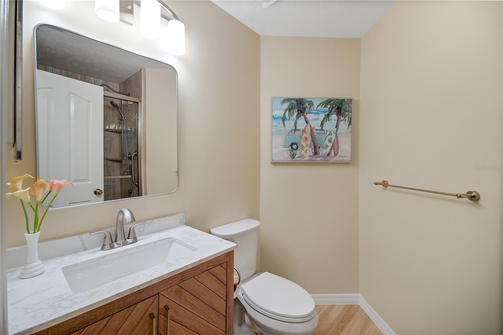 317 WOODLAND TRL, LADY LAKE, FL, 32159