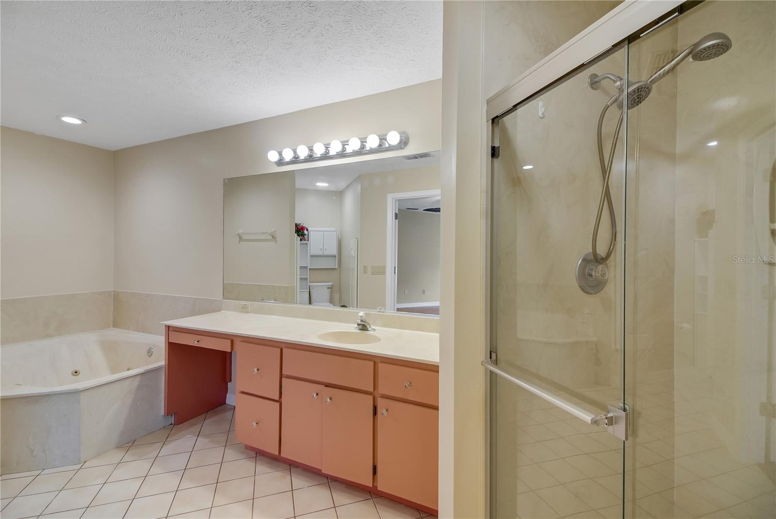 317 WOODLAND TRL, LADY LAKE, FL, 32159