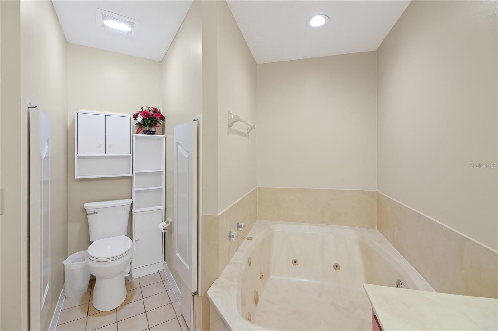 317 WOODLAND TRL, LADY LAKE, FL, 32159