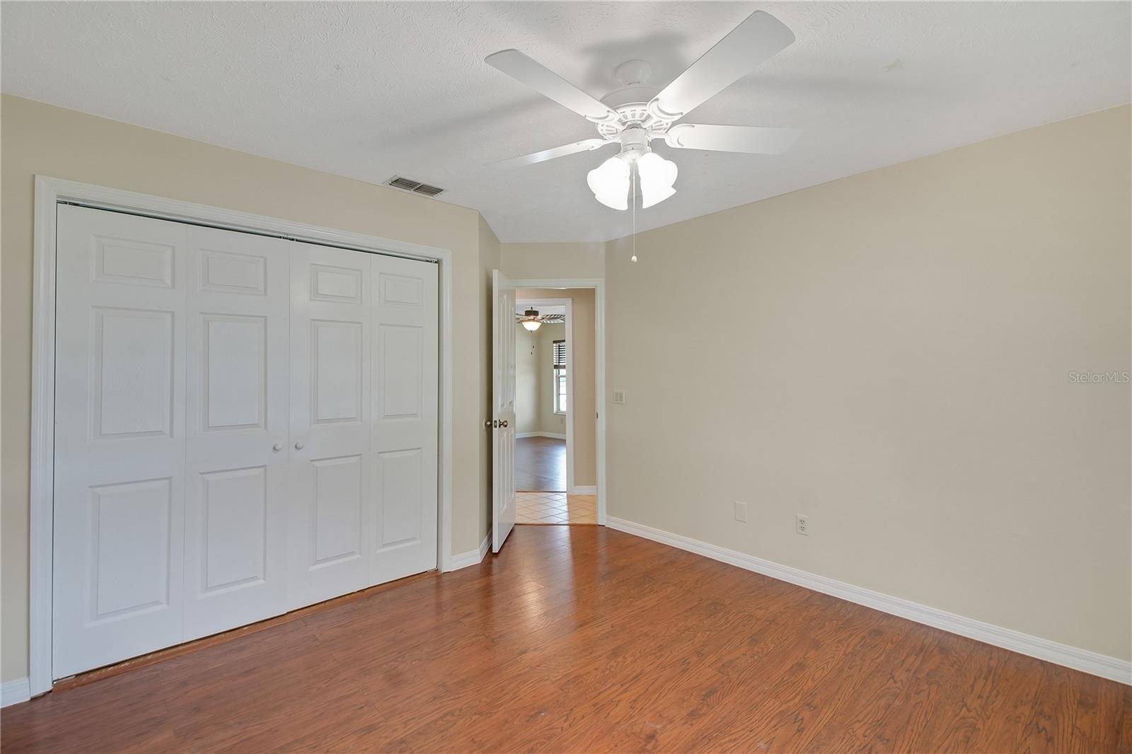 317 WOODLAND TRL, LADY LAKE, FL, 32159