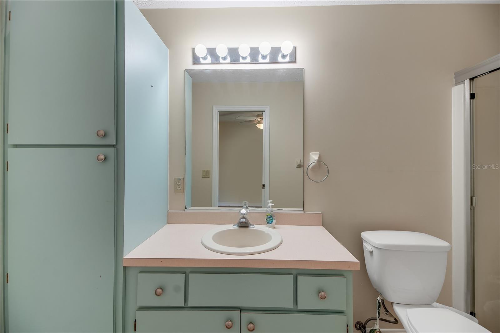 317 WOODLAND TRL, LADY LAKE, FL, 32159