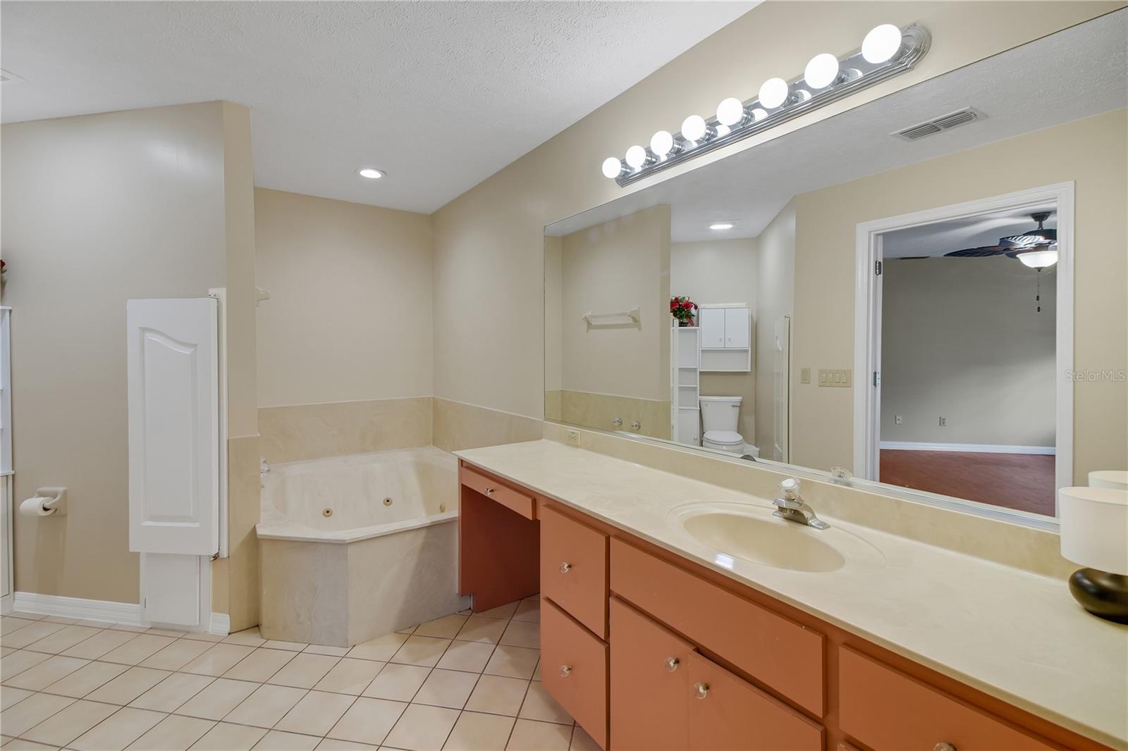 317 WOODLAND TRL, LADY LAKE, FL, 32159