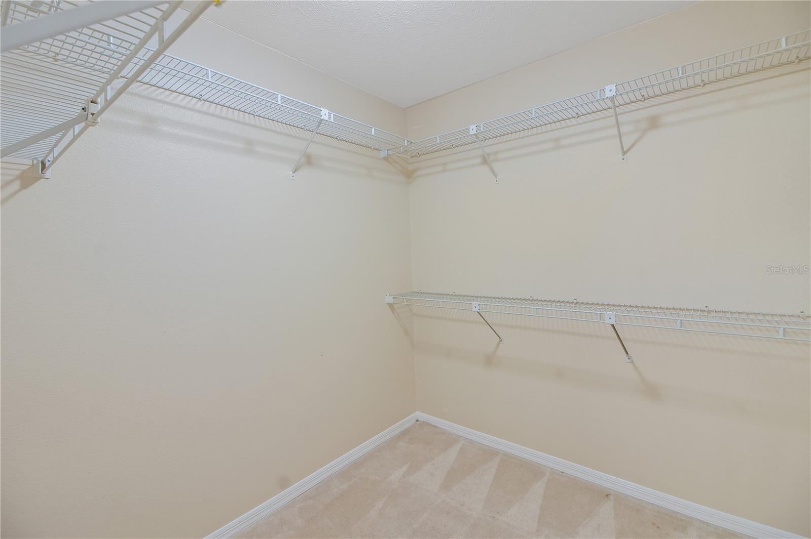 317 WOODLAND TRL, LADY LAKE, FL, 32159