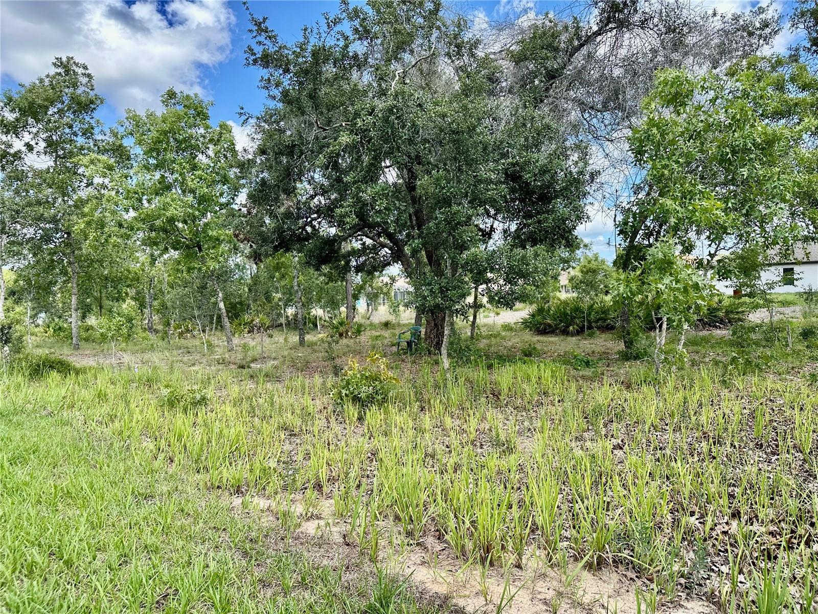 13075 HOUSE FINCH RD, WEEKI WACHEE, FL, 34614