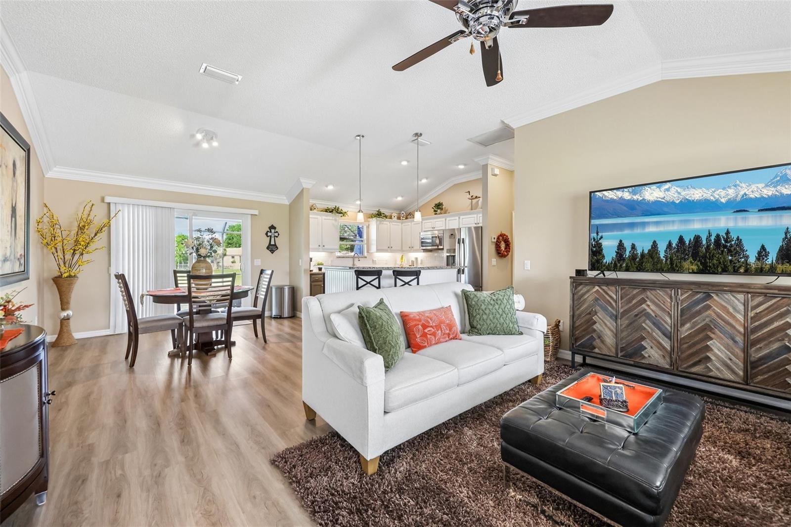 1148 CHAPARRAL DR, THE VILLAGES, FL, 32159
