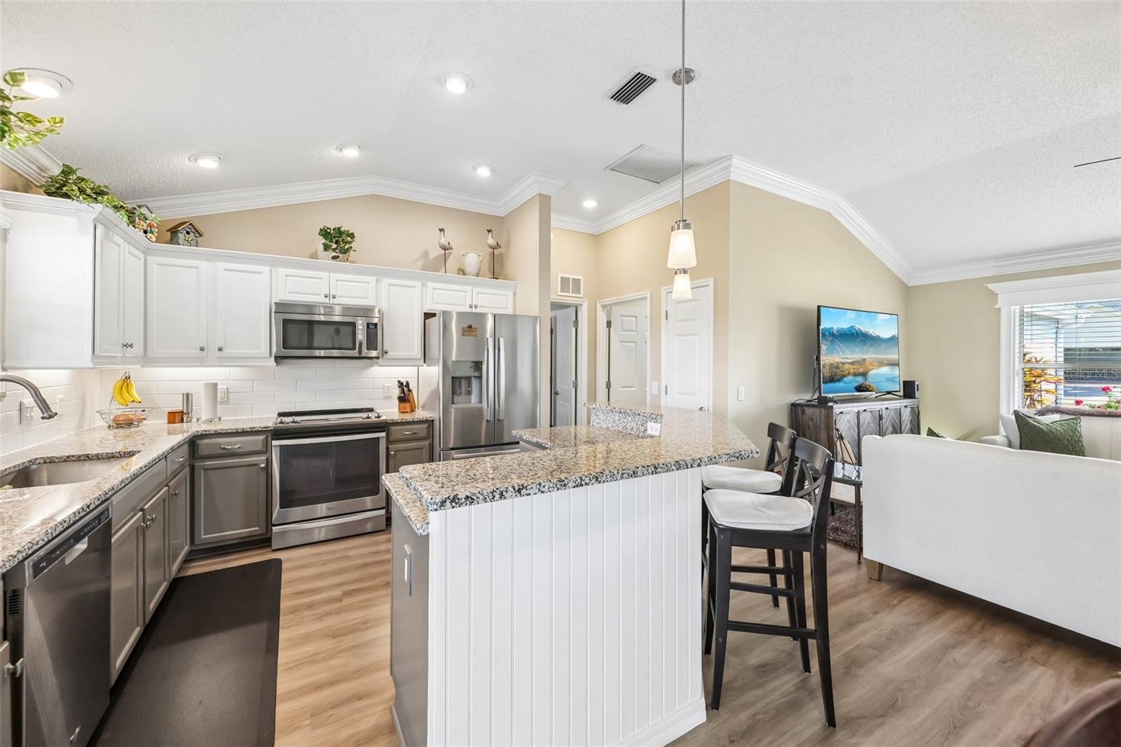 1148 CHAPARRAL DR, THE VILLAGES, FL, 32159