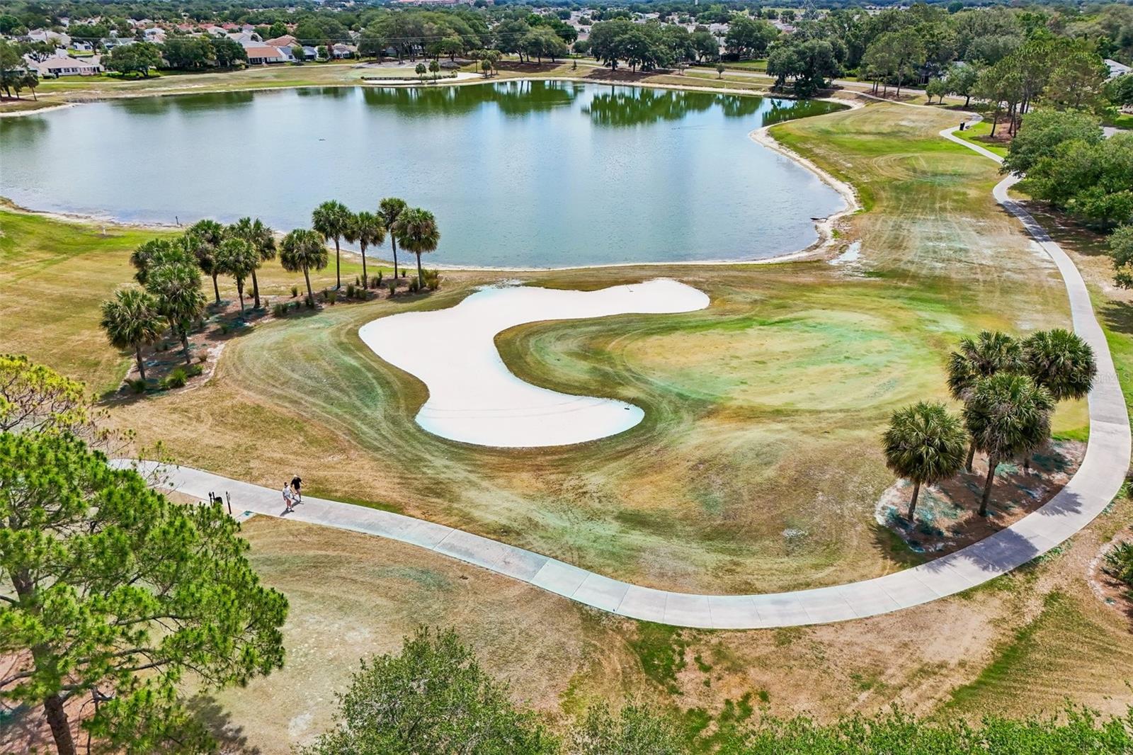 1148 CHAPARRAL DR, THE VILLAGES, FL, 32159
