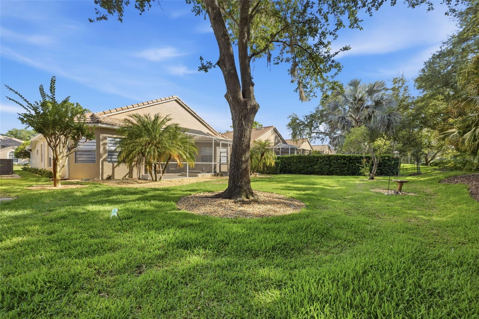 5163 PINNACLE DR, OLDSMAR, FL, 34677