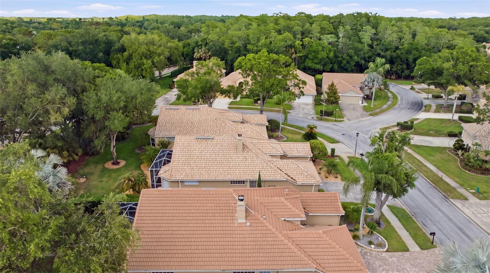 5163 PINNACLE DR, OLDSMAR, FL, 34677