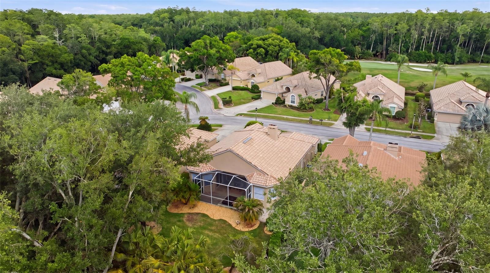 5163 PINNACLE DR, OLDSMAR, FL, 34677
