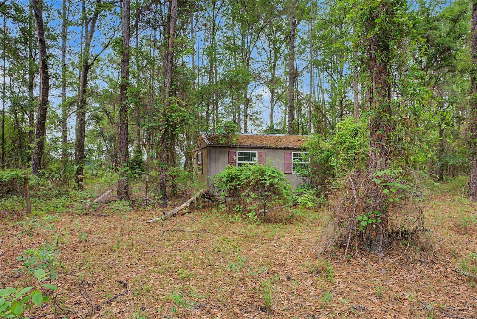 17926 SE 49TH PL, HAWTHORNE, FL, 32640