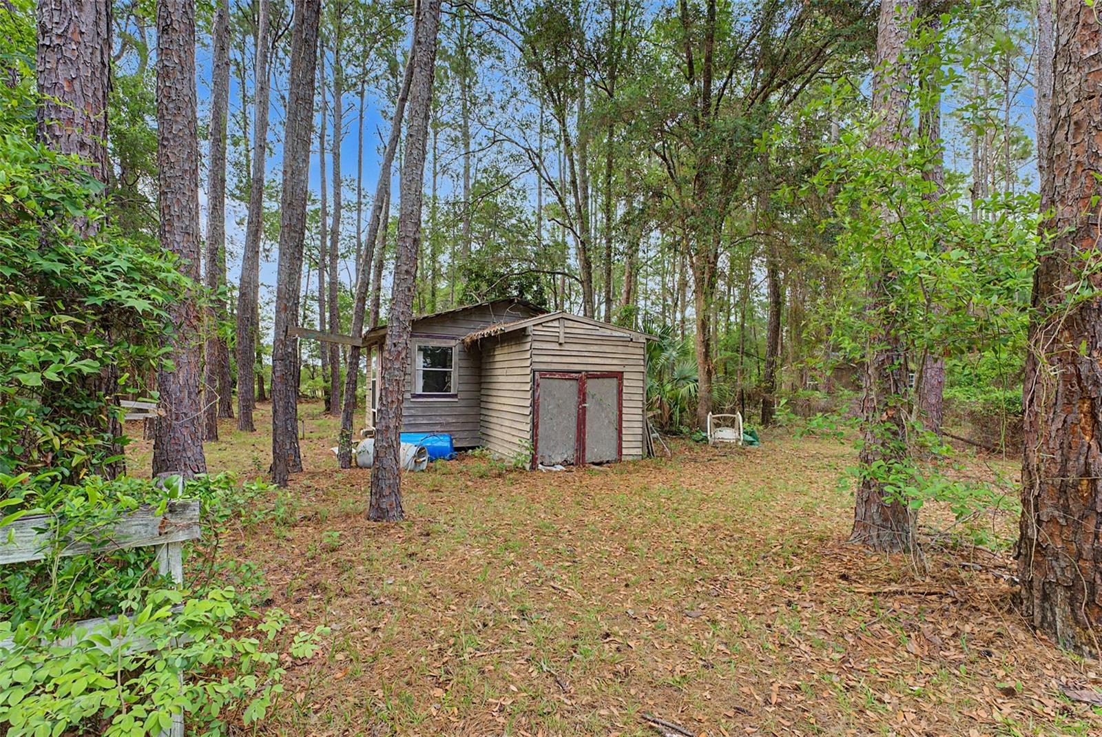 17926 SE 49TH PL, HAWTHORNE, FL, 32640