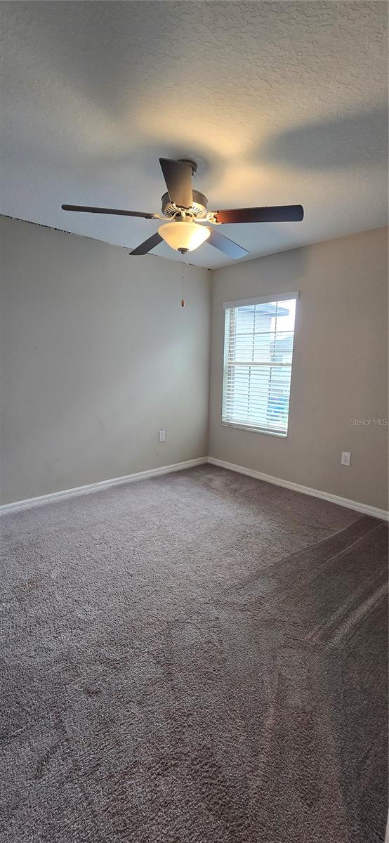 817 ROYAL EMPRESS DR, RUSKIN, FL, 33570