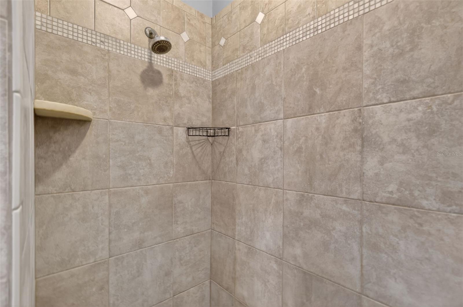 11424 VIA DE RENEE PL, CLERMONT, FL, 34711