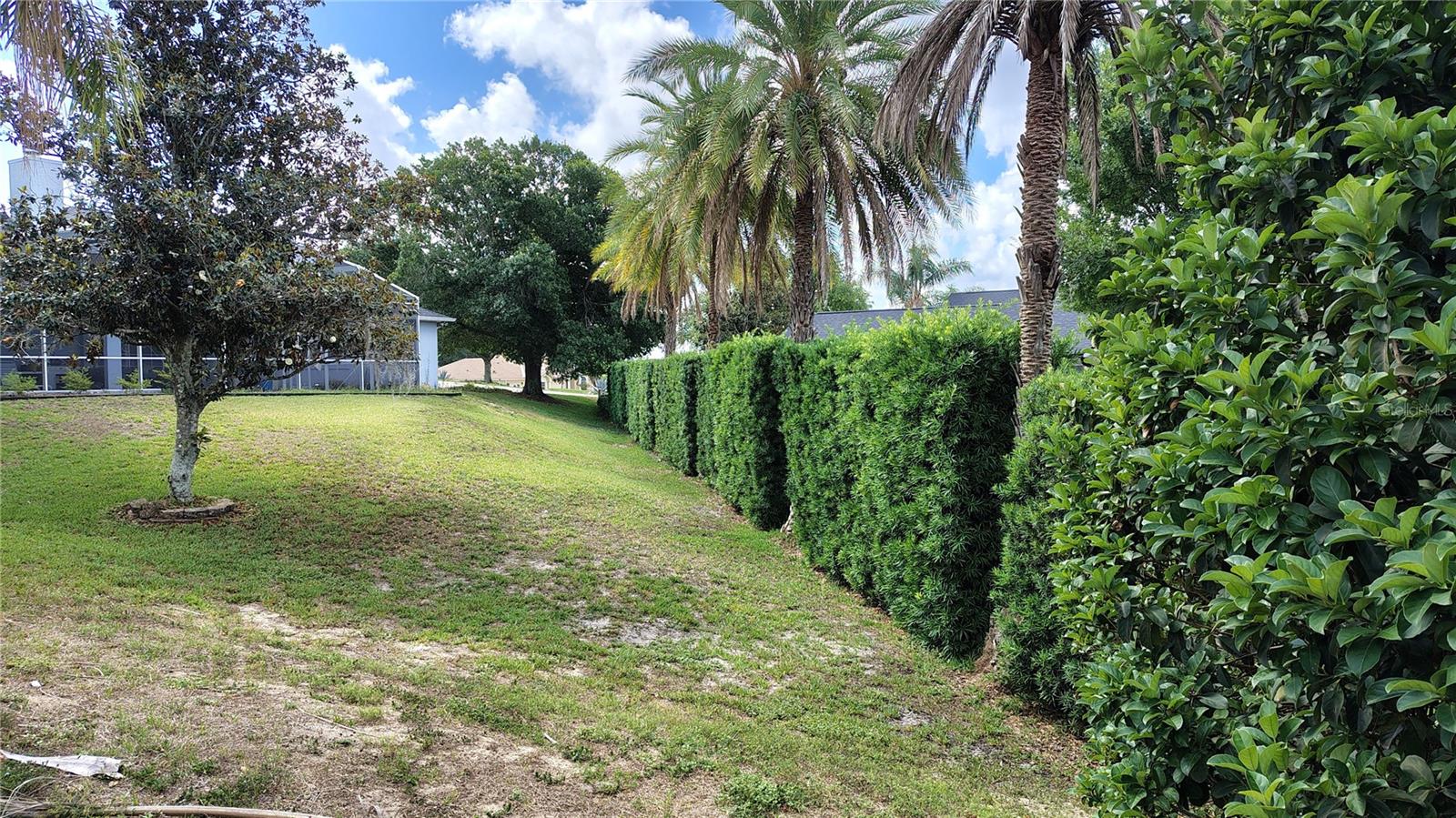 11424 VIA DE RENEE PL, CLERMONT, FL, 34711