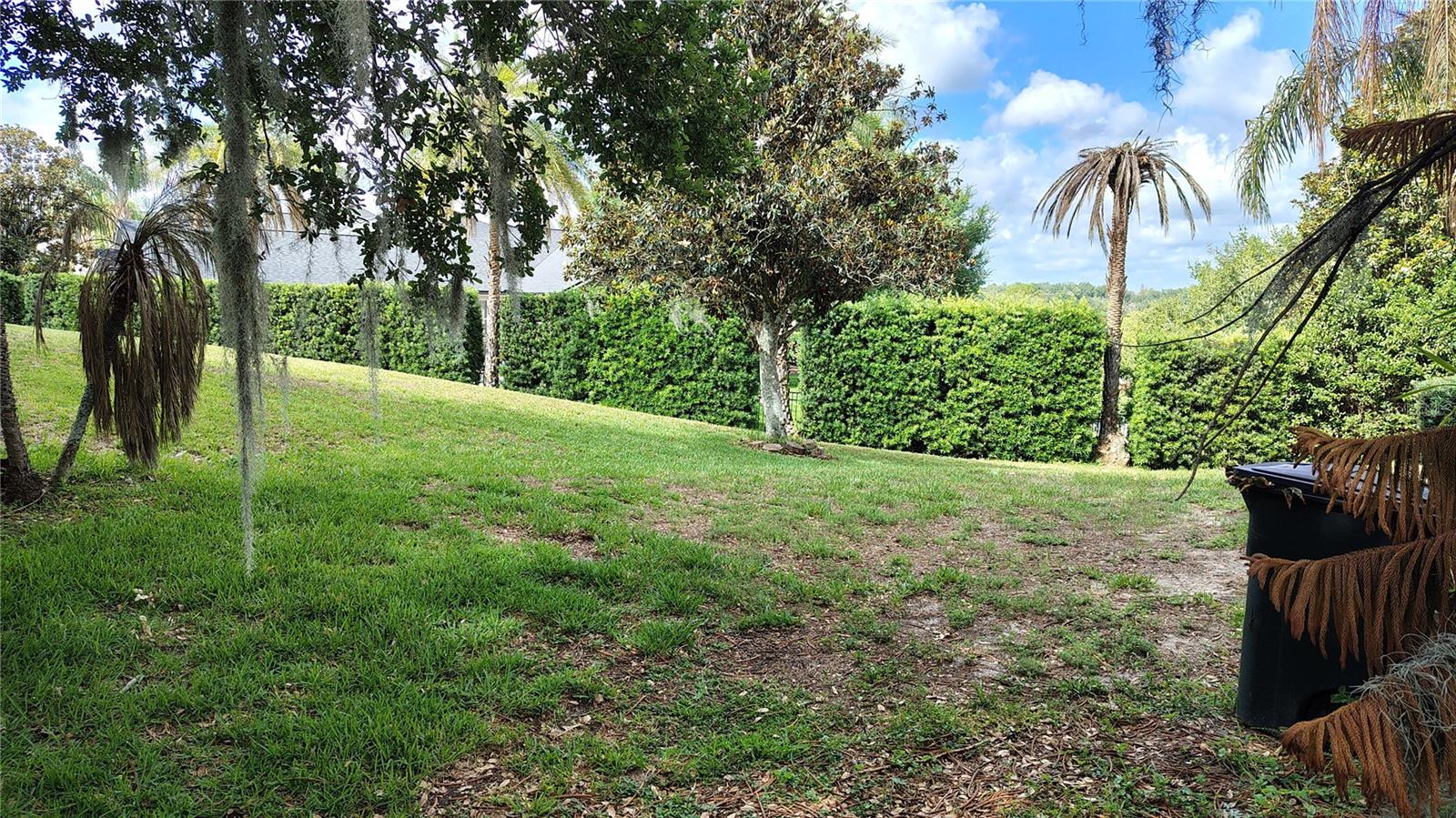 11424 VIA DE RENEE PL, CLERMONT, FL, 34711