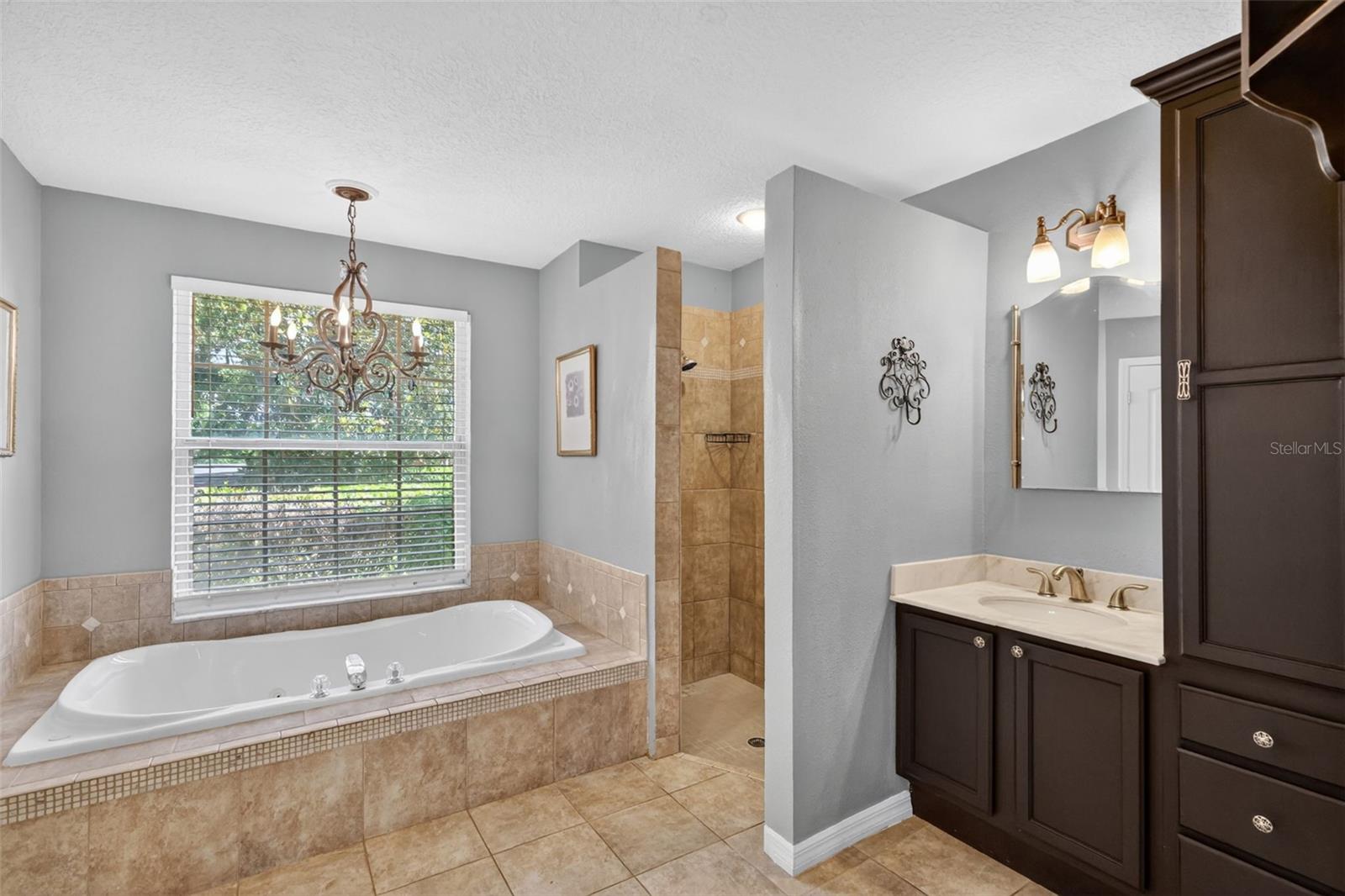 11424 VIA DE RENEE PL, CLERMONT, FL, 34711