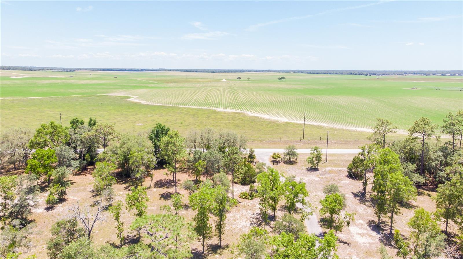 12691 SE 80TH ST, MORRISTON, FL, 32668