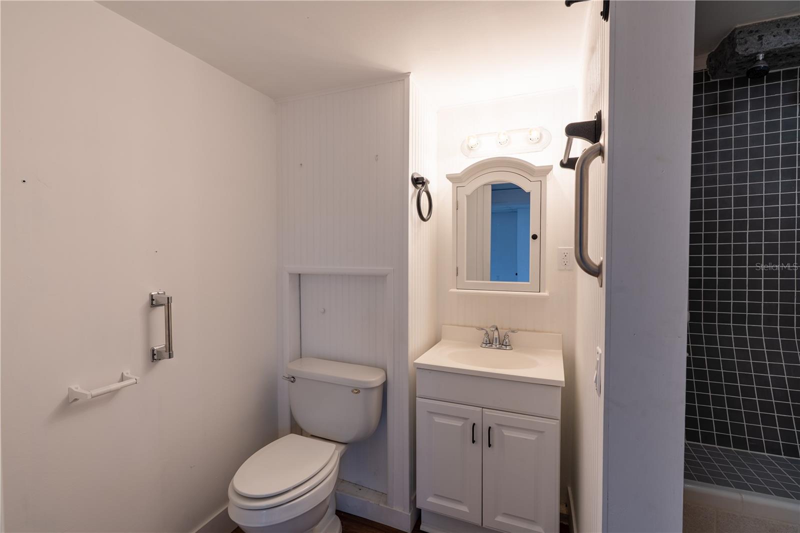 12691 SE 80TH ST, MORRISTON, FL, 32668