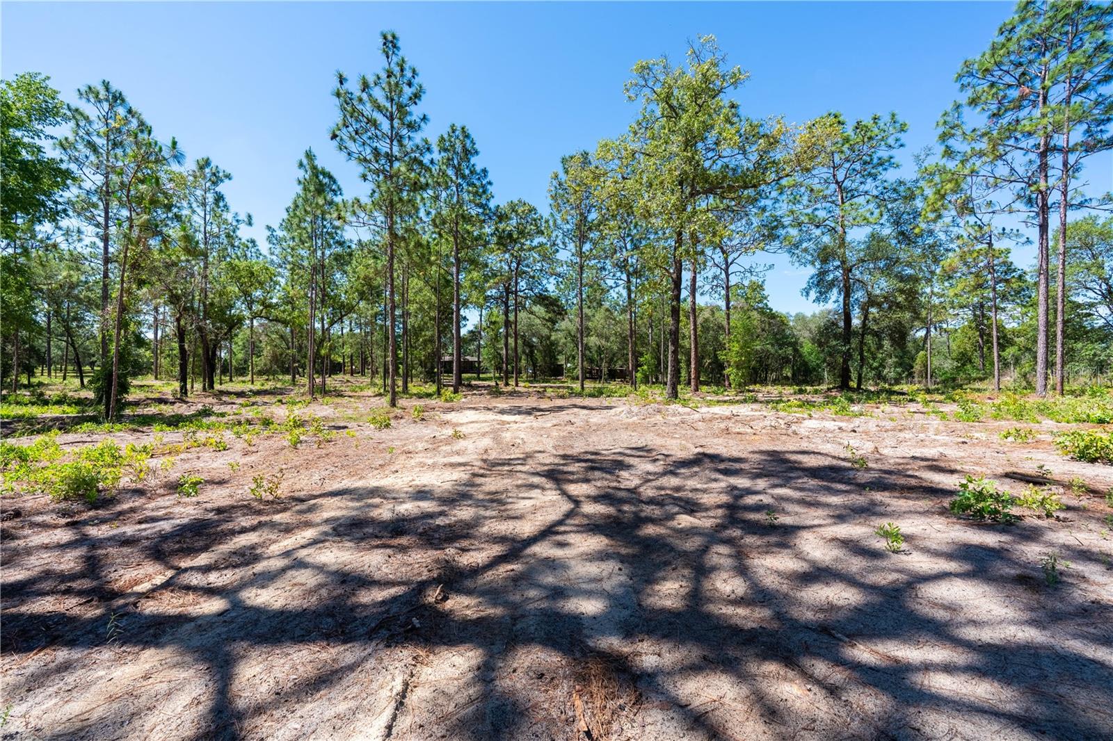12691 SE 80TH ST, MORRISTON, FL, 32668