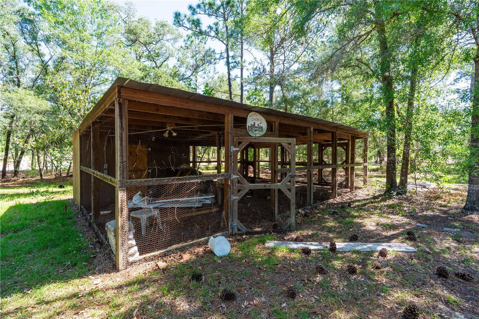12691 SE 80TH ST, MORRISTON, FL, 32668