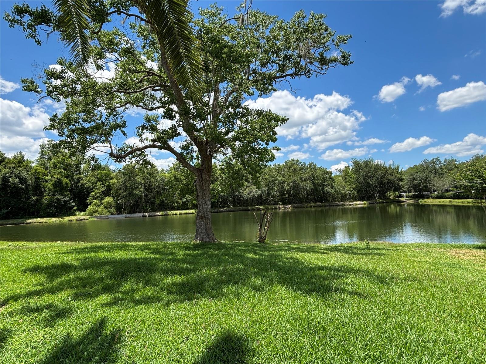 1327 BIG SKY DR, WESLEY CHAPEL, FL, 33543