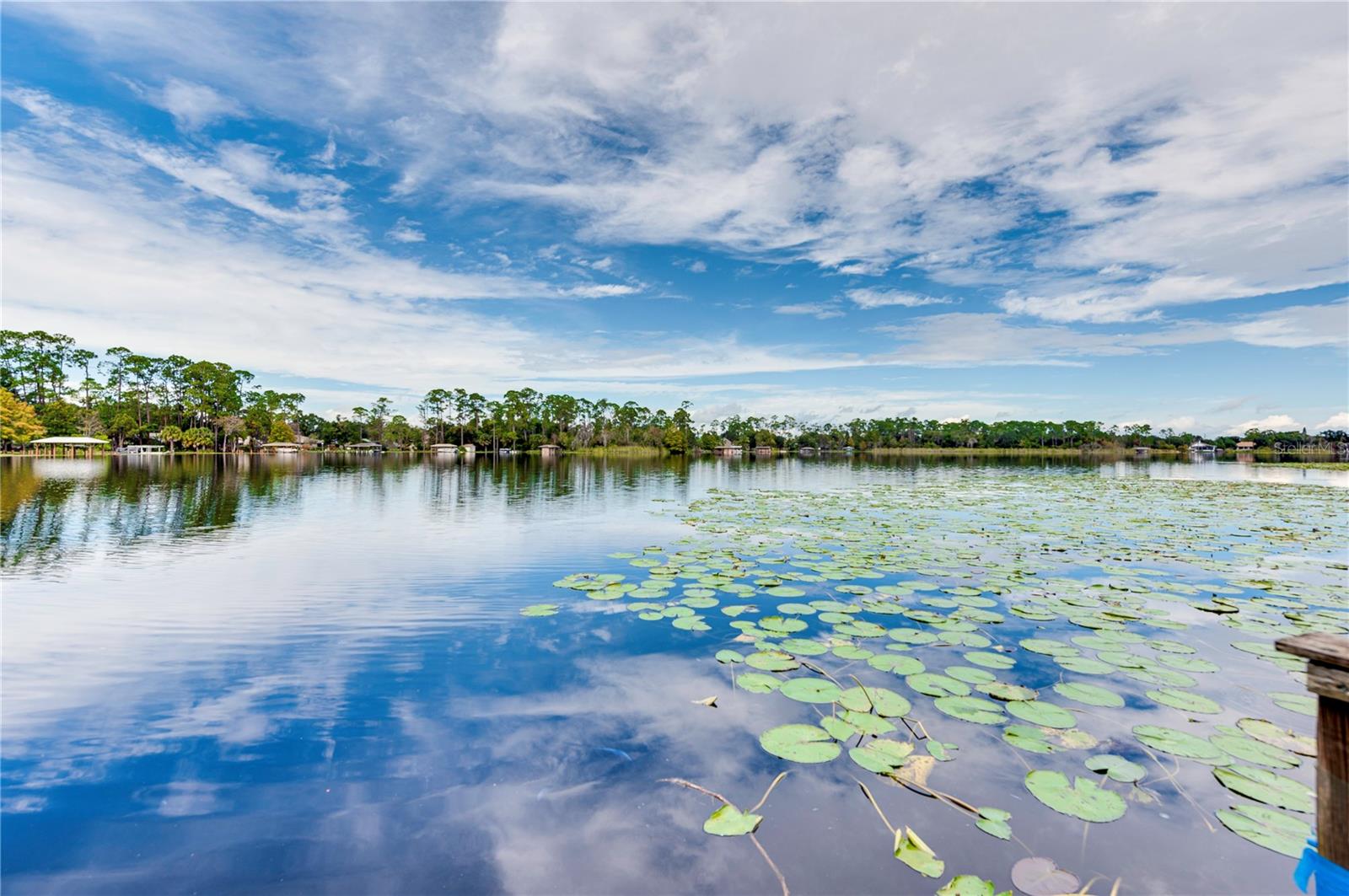 4029 TAMARISK WAY, ORLANDO, FL, 32817