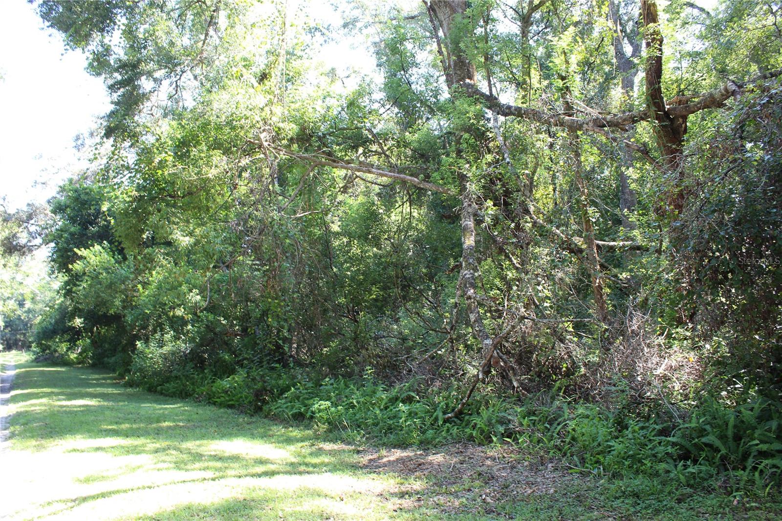 GRAND AVE, BROOKSVILLE, FL, 34604