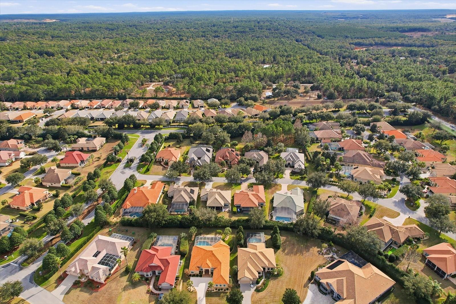 1416 N RIDGE MEADOW PATH, HERNANDO, FL, 34442